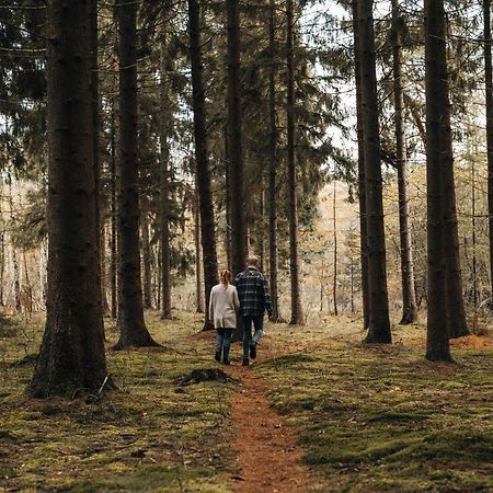 4P Chalet Tolve Met 4 Fietsen Vlakbij Natuurgebieden Drents Friese Wold, Fochteloerveen En Gevangenisdorp Veenhuizen Oosterwolde  Dış mekan fotoğraf
