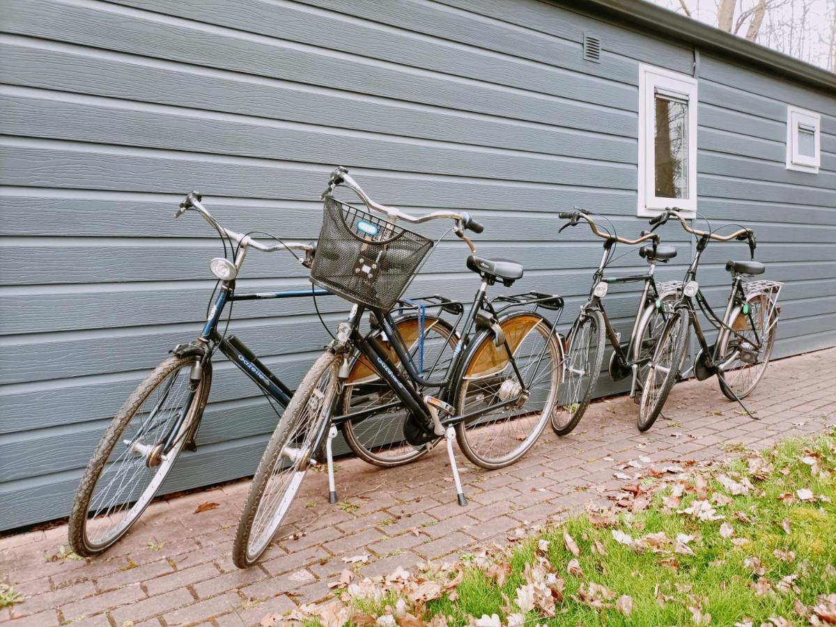 4P Chalet Tolve Met 4 Fietsen Vlakbij Natuurgebieden Drents Friese Wold, Fochteloerveen En Gevangenisdorp Veenhuizen Oosterwolde  Dış mekan fotoğraf