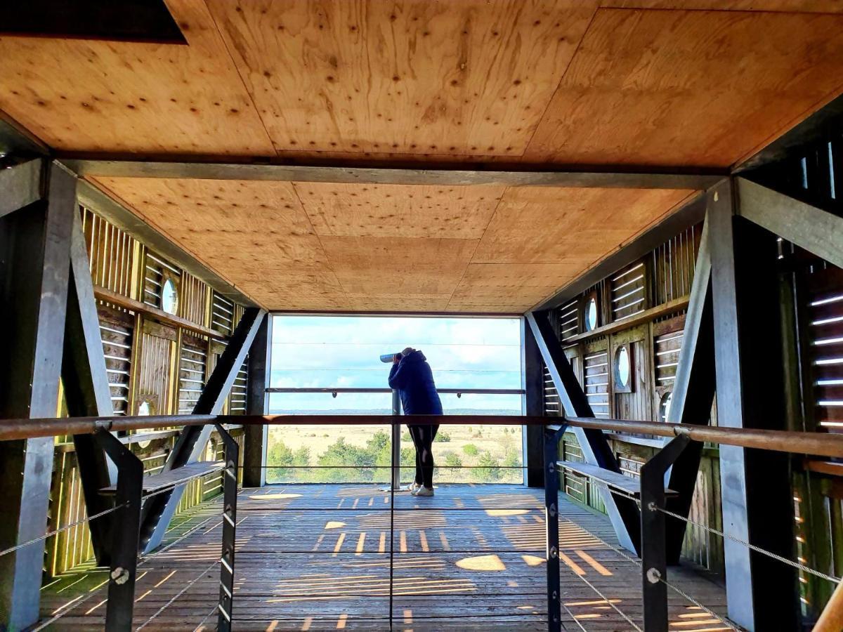 4P Chalet Tolve Met 4 Fietsen Vlakbij Natuurgebieden Drents Friese Wold, Fochteloerveen En Gevangenisdorp Veenhuizen Oosterwolde  Dış mekan fotoğraf
