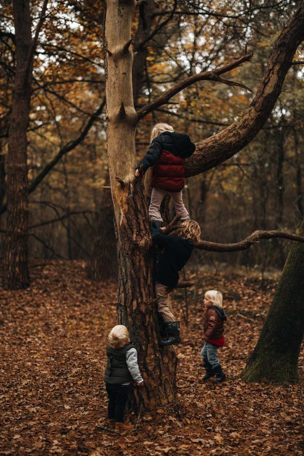 4P Chalet Tolve Met 4 Fietsen Vlakbij Natuurgebieden Drents Friese Wold, Fochteloerveen En Gevangenisdorp Veenhuizen Oosterwolde  Dış mekan fotoğraf