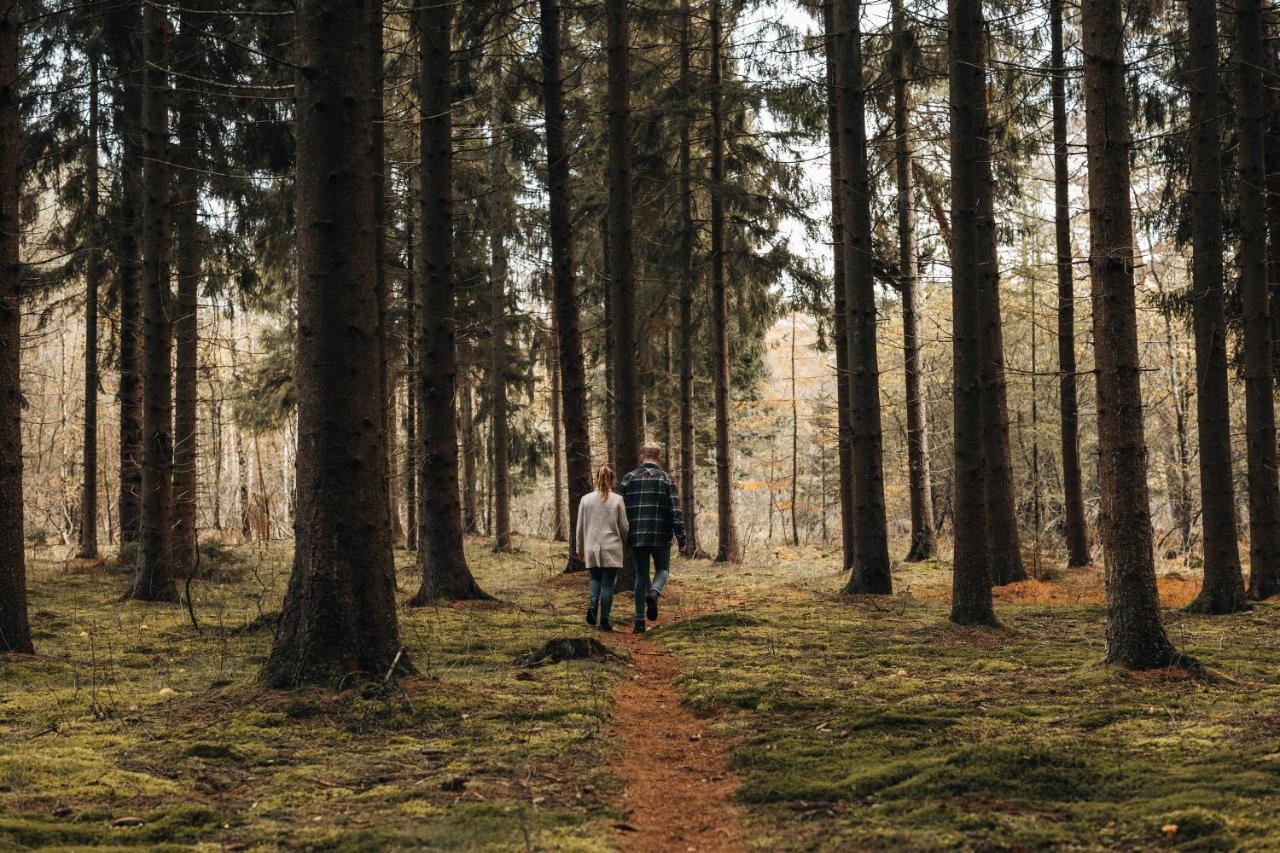 4P Chalet Tolve Met 4 Fietsen Vlakbij Natuurgebieden Drents Friese Wold, Fochteloerveen En Gevangenisdorp Veenhuizen Oosterwolde  Dış mekan fotoğraf