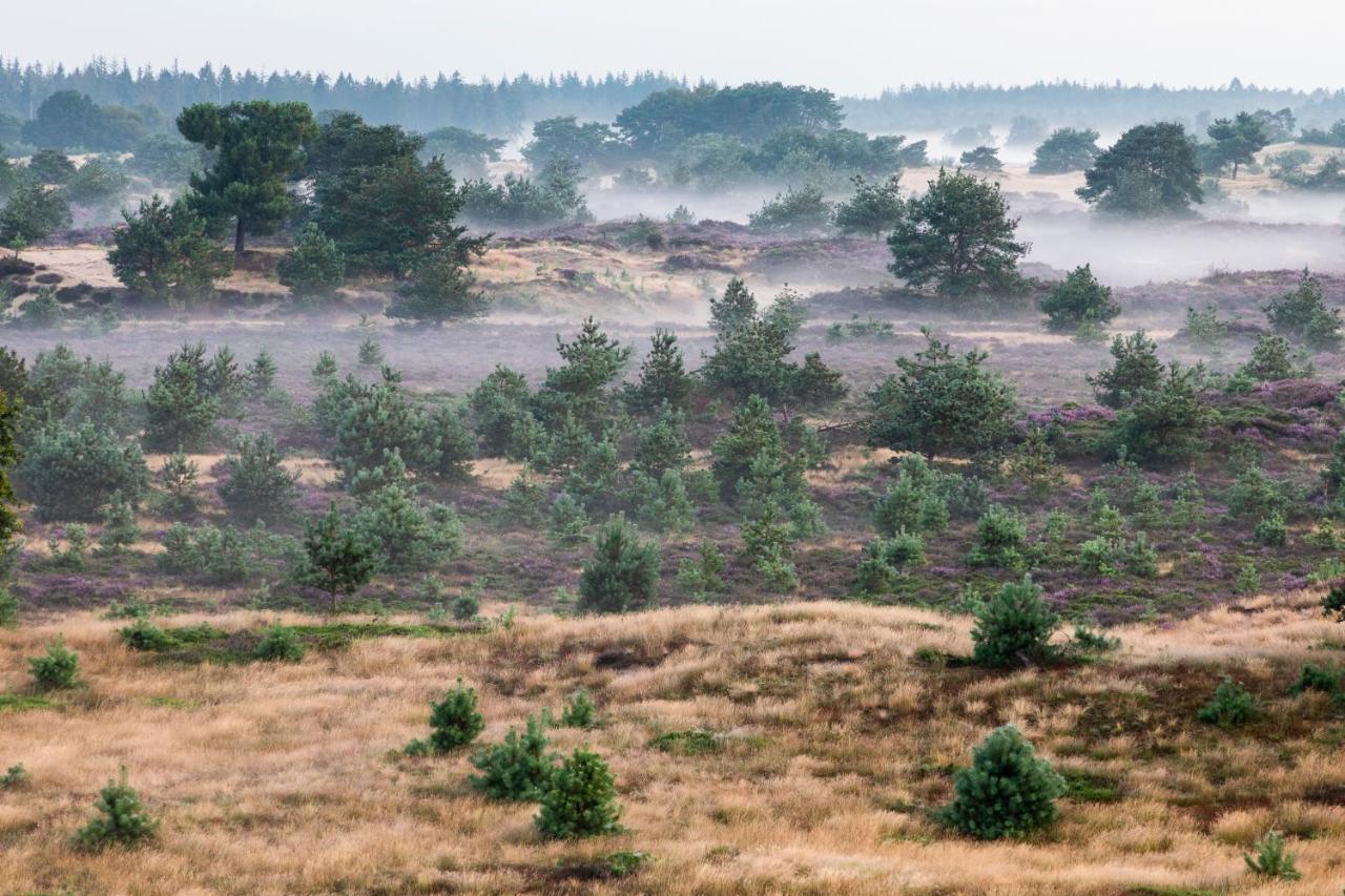 4P Chalet Tolve Met 4 Fietsen Vlakbij Natuurgebieden Drents Friese Wold, Fochteloerveen En Gevangenisdorp Veenhuizen Oosterwolde  Dış mekan fotoğraf