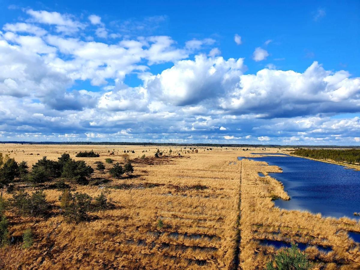 4P Chalet Tolve Met 4 Fietsen Vlakbij Natuurgebieden Drents Friese Wold, Fochteloerveen En Gevangenisdorp Veenhuizen Oosterwolde  Dış mekan fotoğraf